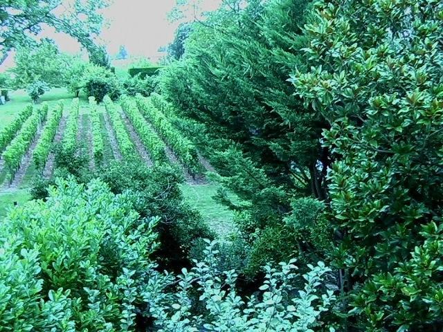 Les Id De Saint Emilion Bed & Breakfast ภายนอก รูปภาพ